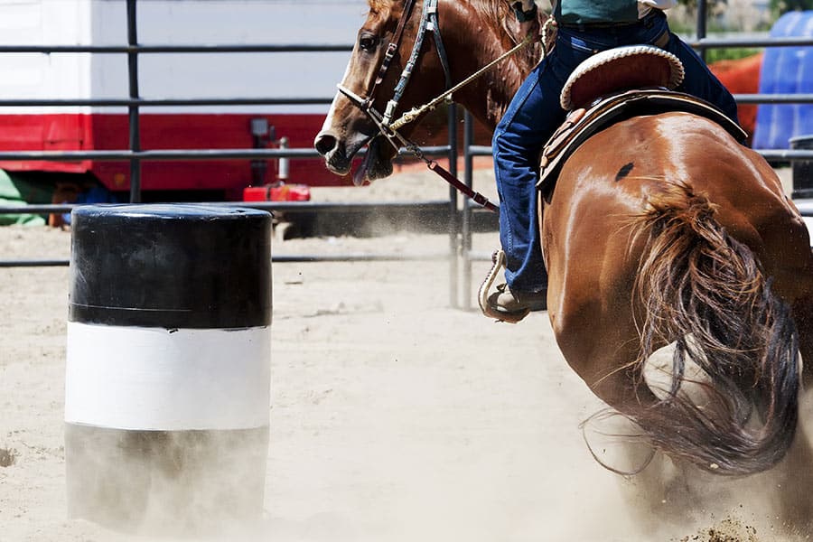 Barrel Racing Basics