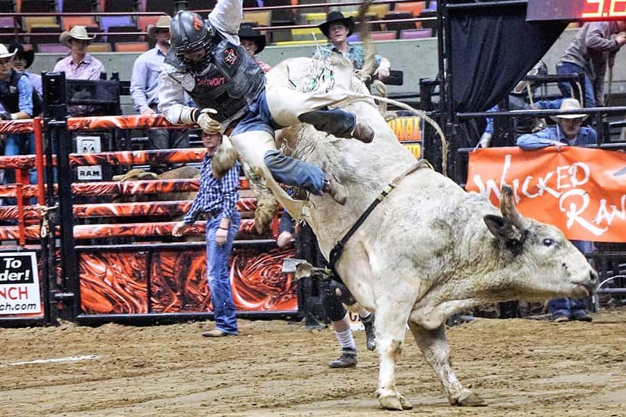 PCB TOUR BULL RIDING ANIMAL CARE