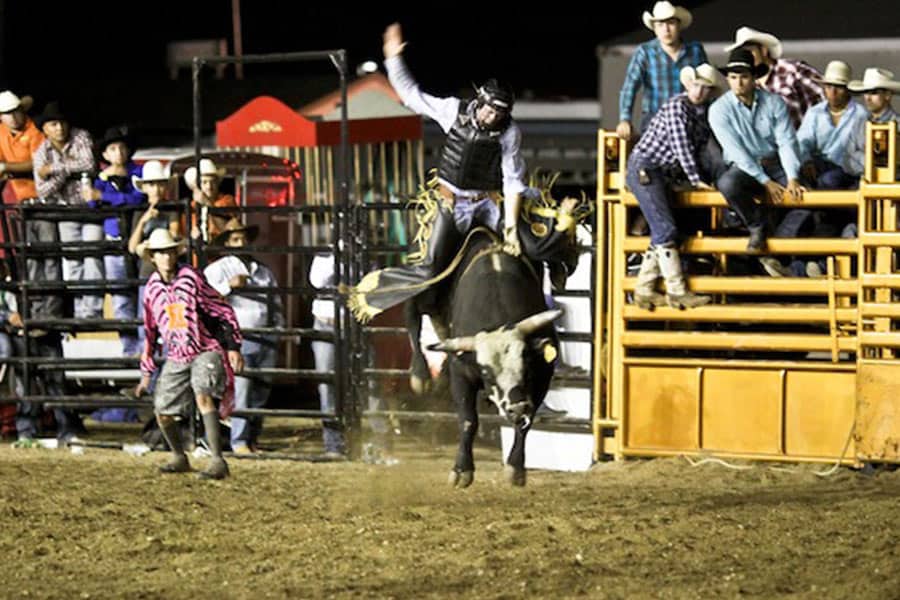 bull riding basics pcb tour