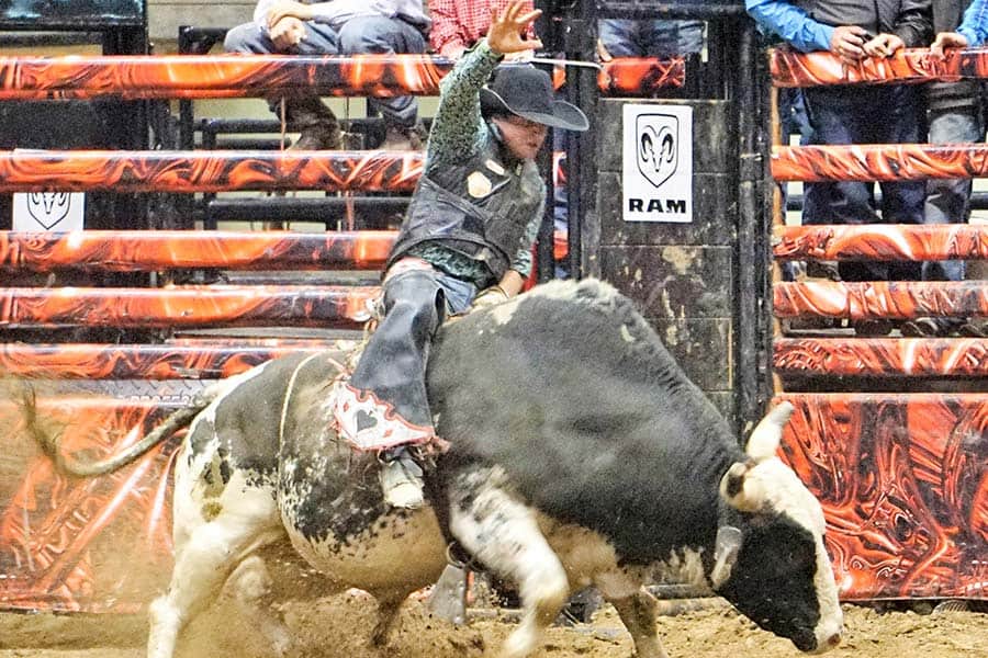 bull riding basics pcb tour