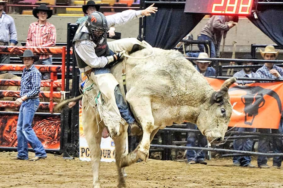 bull riding basics pcb tour